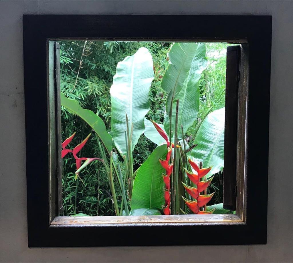Pousada Rainforest House - Ilha Grande Экстерьер фото