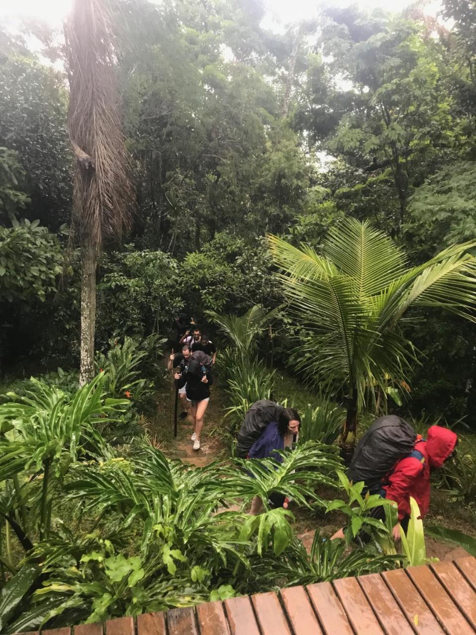Pousada Rainforest House - Ilha Grande Экстерьер фото