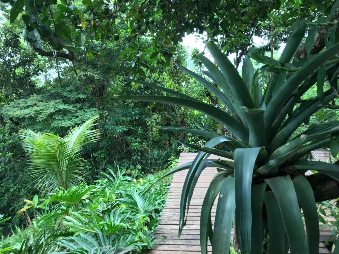 Pousada Rainforest House - Ilha Grande Экстерьер фото