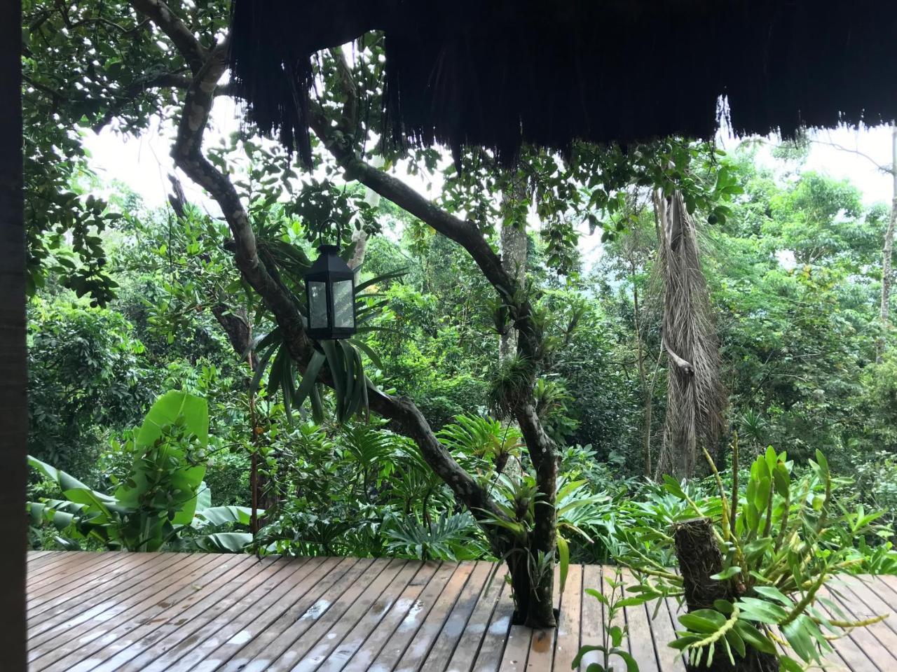 Pousada Rainforest House - Ilha Grande Экстерьер фото