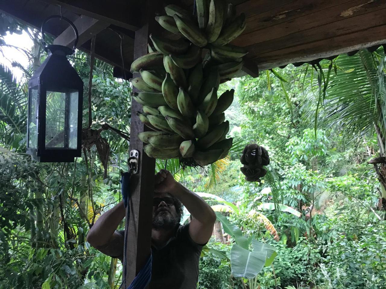 Pousada Rainforest House - Ilha Grande Экстерьер фото